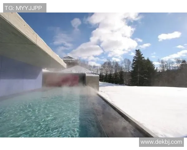 鹿岛鹿角与大阪樱花2018年激战回顾及精彩瞬间分析